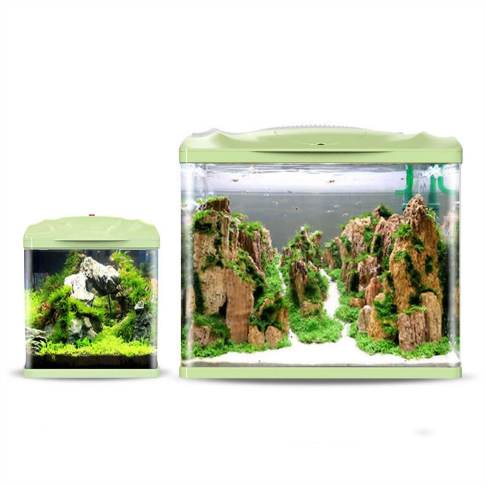 Amazon.com: x3anggyt5 Aquarium Fish Tank Green Aquarium Ecological